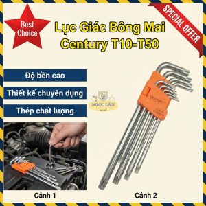 Bộ Lục Giác Bông Mai 9 Cây T10-T50 Century Chính Hãng